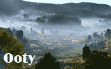 Ooty
